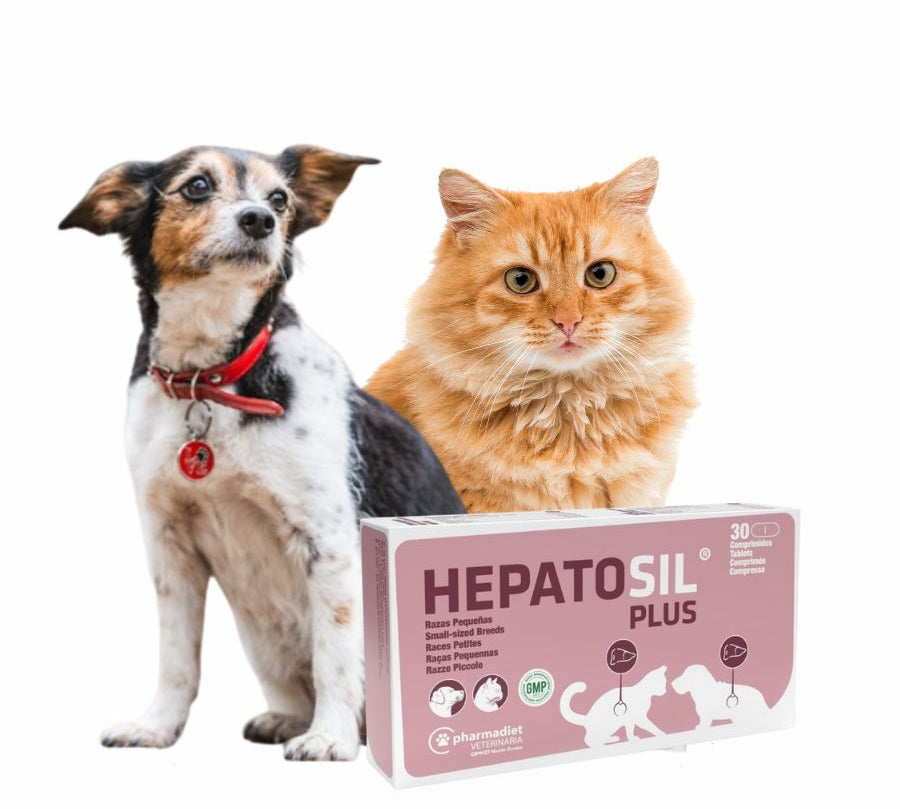 Hepatosil Razas Pequeñas y Gatos 30 Comprimidos protege el hígado, ayuda a regenerar células hepáticas y favorece la eliminación de toxinas.