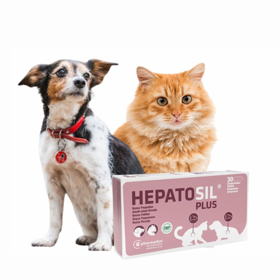 Hepatosil Razas Pequeñas y Gatos 30 Comprimidos protege el hígado, ayuda a regenerar células hepáticas y favorece la eliminación de toxinas.
