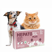 Hepatosil Razas Pequeñas y Gatos 60 Comprimidos protege el hígado, ayuda a regenerar células hepáticas y favorece la eliminación de toxinas.