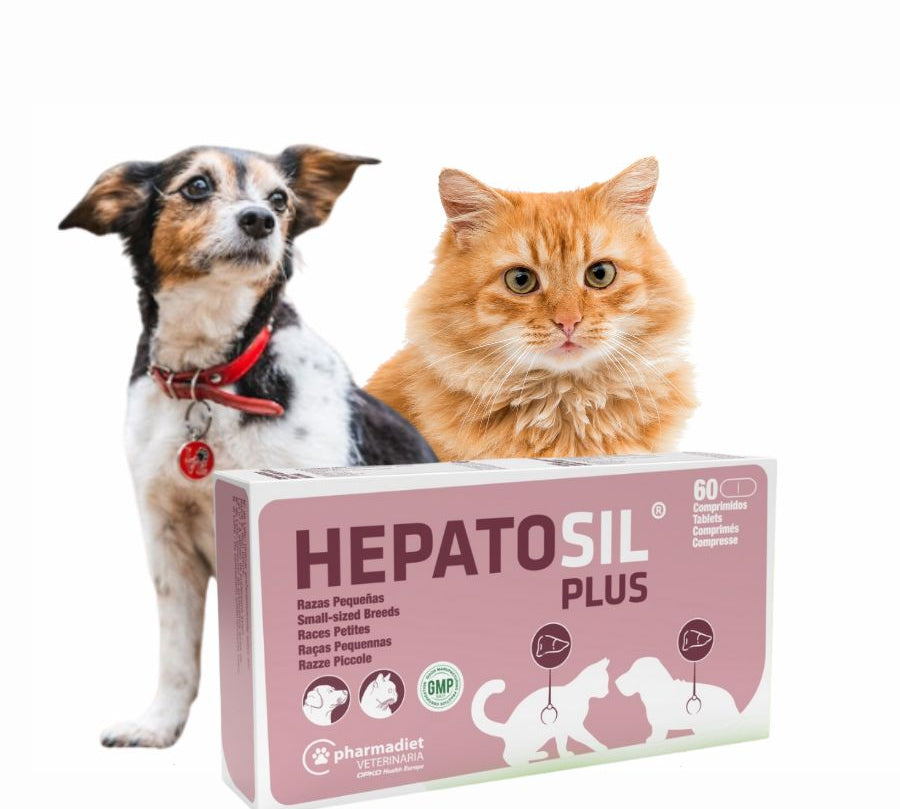 Hepatosil Razas Pequeñas y Gatos 60 Comprimidos protege el hígado, ayuda a regenerar células hepáticas y favorece la eliminación de toxinas.