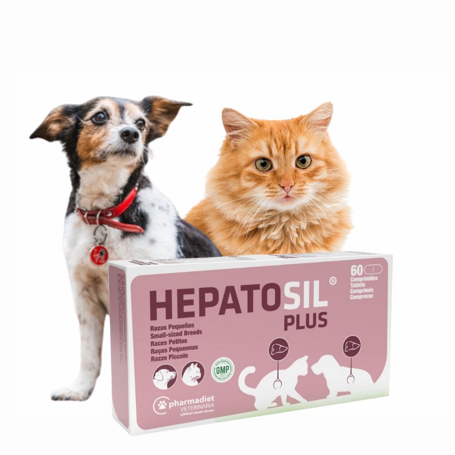Hepatosil Razas Pequeñas y Gatos 60 Comprimidos protege el hígado, ayuda a regenerar células hepáticas y favorece la eliminación de toxinas.