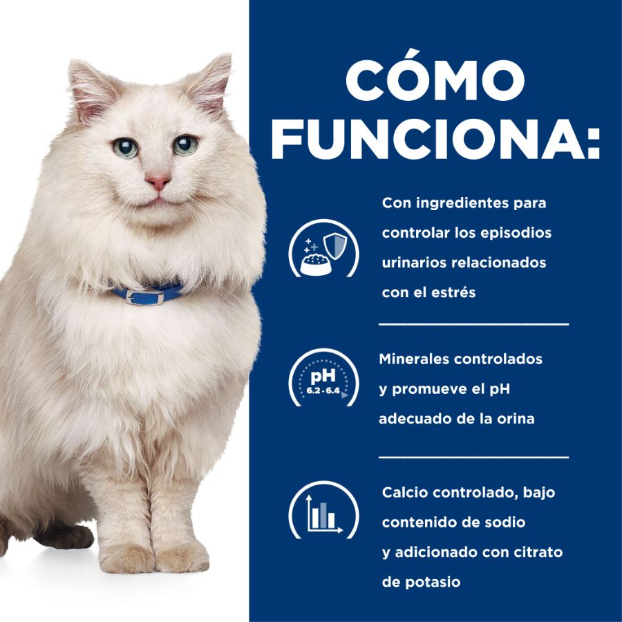Hills C/D Gato Cuidado Urinario 3,8 kg ayuda a disolver cálculos y reduce su recurrencia. Con pollo, S+OXSHIELD y soporte clínico urinario.
