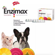 Holliday Enzimax 20 Comprimidos, suplemento digestivo vegetal que mejora la absorción de nutrientes y favorece la salud gastrointestinal de perros y gatos.