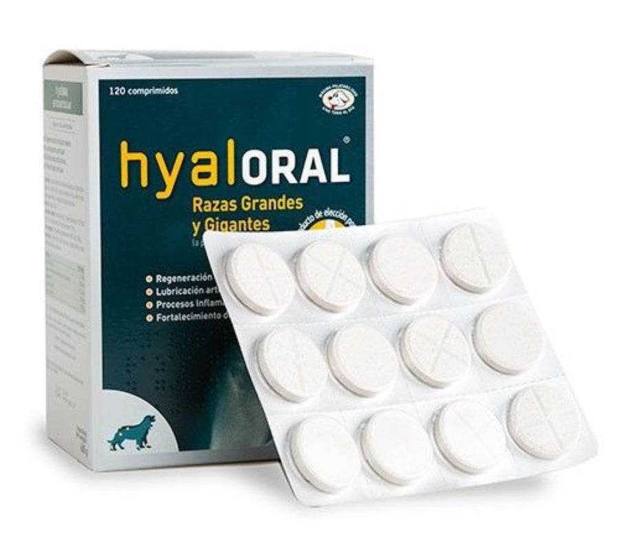 Hyaloral Razas Grandes y Gigantes 🐶💊, condroprotector avanzado para perros de gran tamaño. Mejora la movilidad y protege las articulaciones.