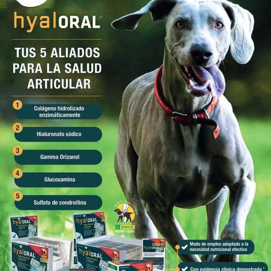 Hyaloral Razas Pequeñas y Medianas condroprotector con colágeno y ácido hialurónico. Mejora movilidad, articulaciones y previene inflamación. Bpets