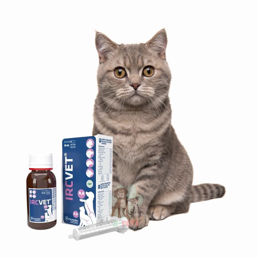 IRC VET Gel 50 ml, suplemento renal con quercetina, omega 3 y vitaminas, ideal para perros, gatos y pequeños animales con insuficiencia renal.