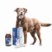 IRC VET Gel 50 ml, suplemento renal con quercetina, omega 3 y vitaminas, ideal para perros, gatos y pequeños animales con insuficiencia renal.