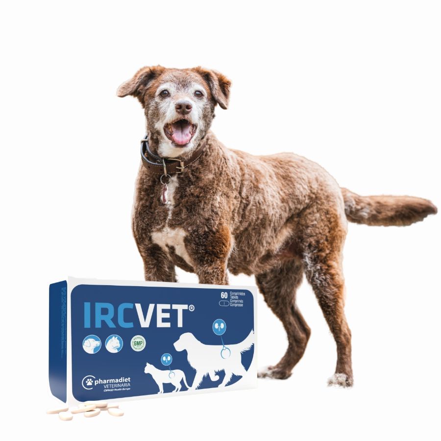IRC VET 60 Comprimidos, suplemento renal con resveratrol y vitaminas del grupo B, protege las células renales y mejora la vitalidad de tu mascota.