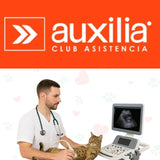 Ecografía Gatos Auxilia