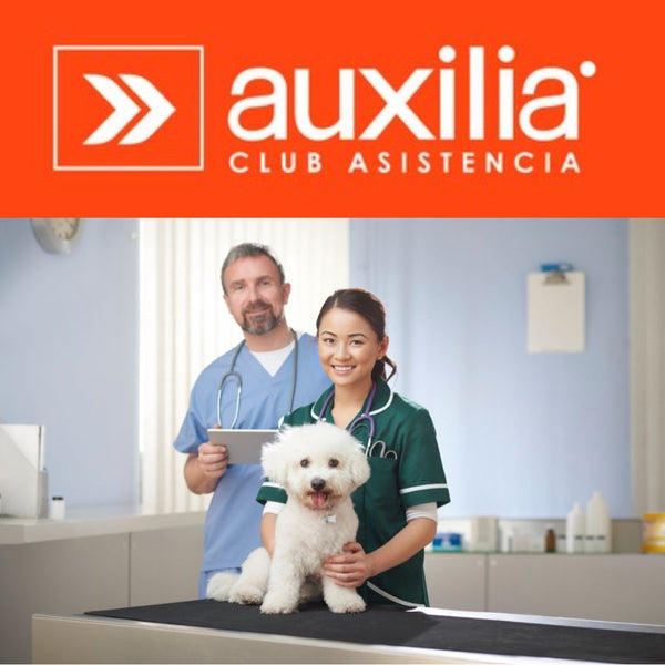 Consulta Especialidad Perros Auxilia