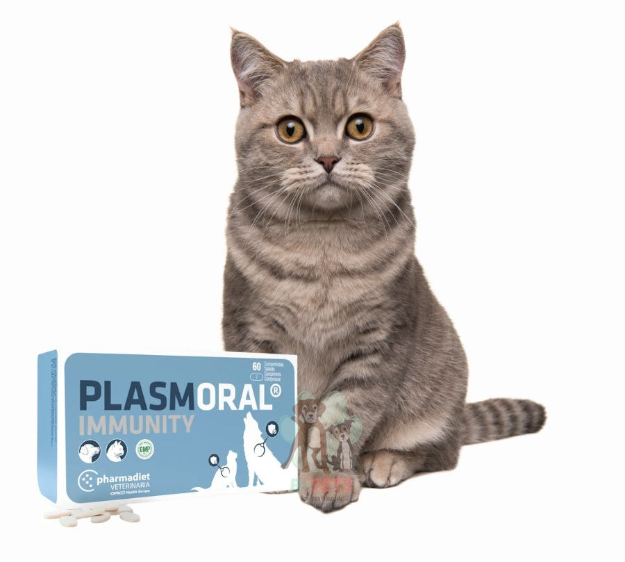 Immunity Plasmoral 60 Comprimidos, con proteínas plasmáticas, ginseng y vitaminas, refuerza el sistema inmune de perros y gatos en situaciones críticas.