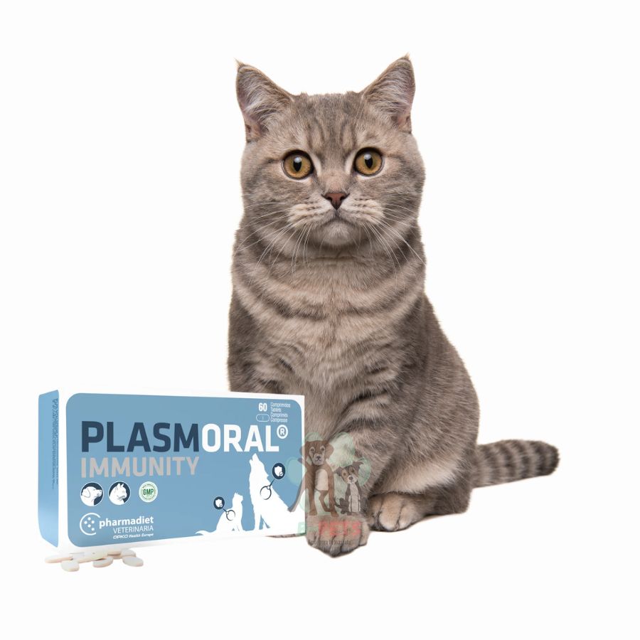 Immunity Plasmoral 60 Comprimidos, con proteínas plasmáticas, ginseng y vitaminas, refuerza el sistema inmune de perros y gatos en situaciones críticas.