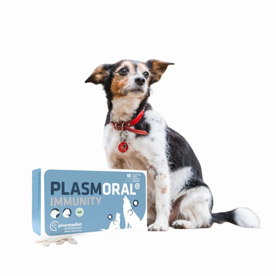 Immunity Plasmoral 60 Comprimidos, con proteínas plasmáticas, ginseng y vitaminas, refuerza el sistema inmune de perros y gatos en situaciones críticas.