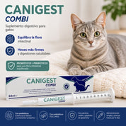 Infografía de Canigest Combi 64 ml con gato gris atigrado: suplemento digestivo con probióticos y prebióticos para gatos