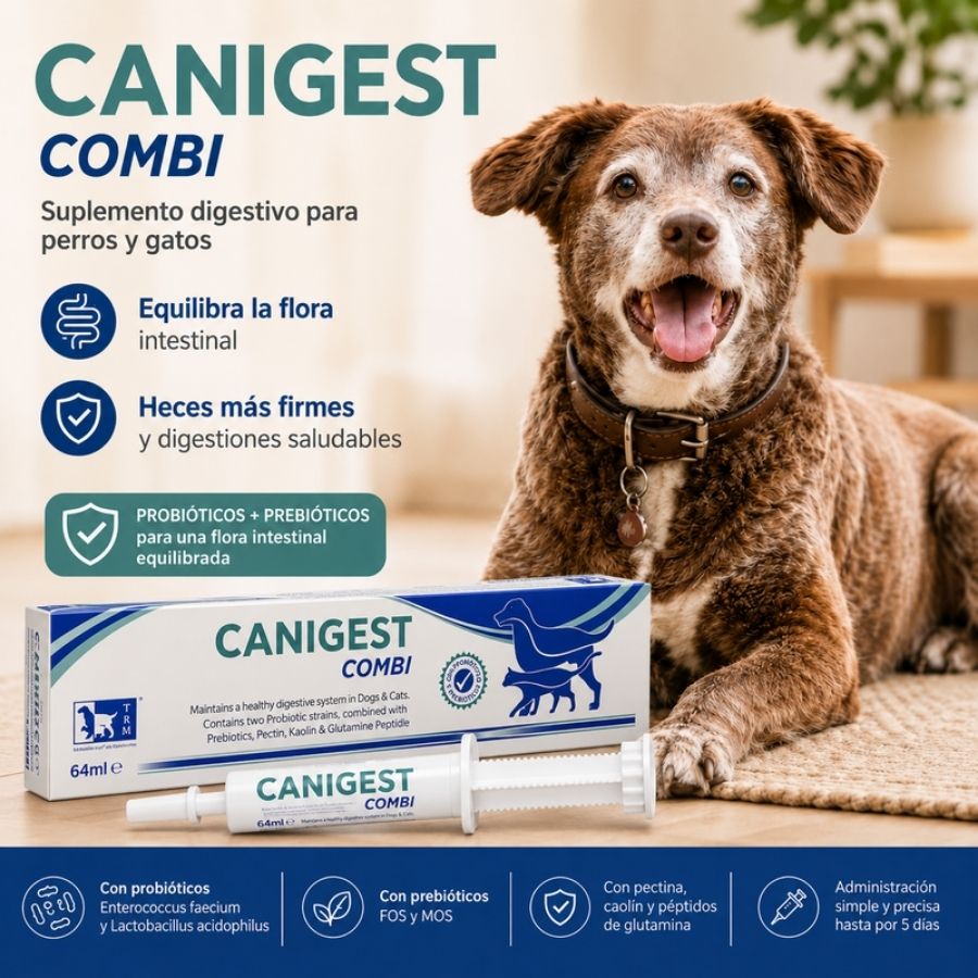 Infografía de Canigest Combi 64 ml con perro: probióticos y prebióticos para la flora intestinal y heces más firmes