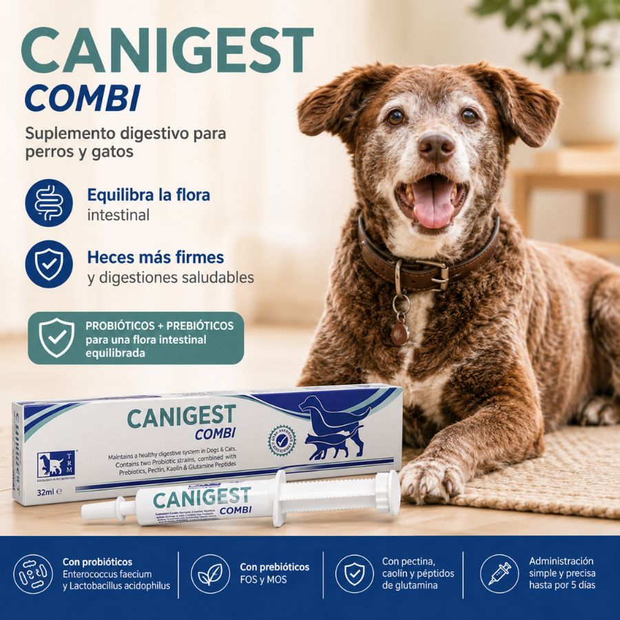 Beneficios del probiótico Canigest Combi 32 ml: flora intestinal equilibrada y heces más firmes