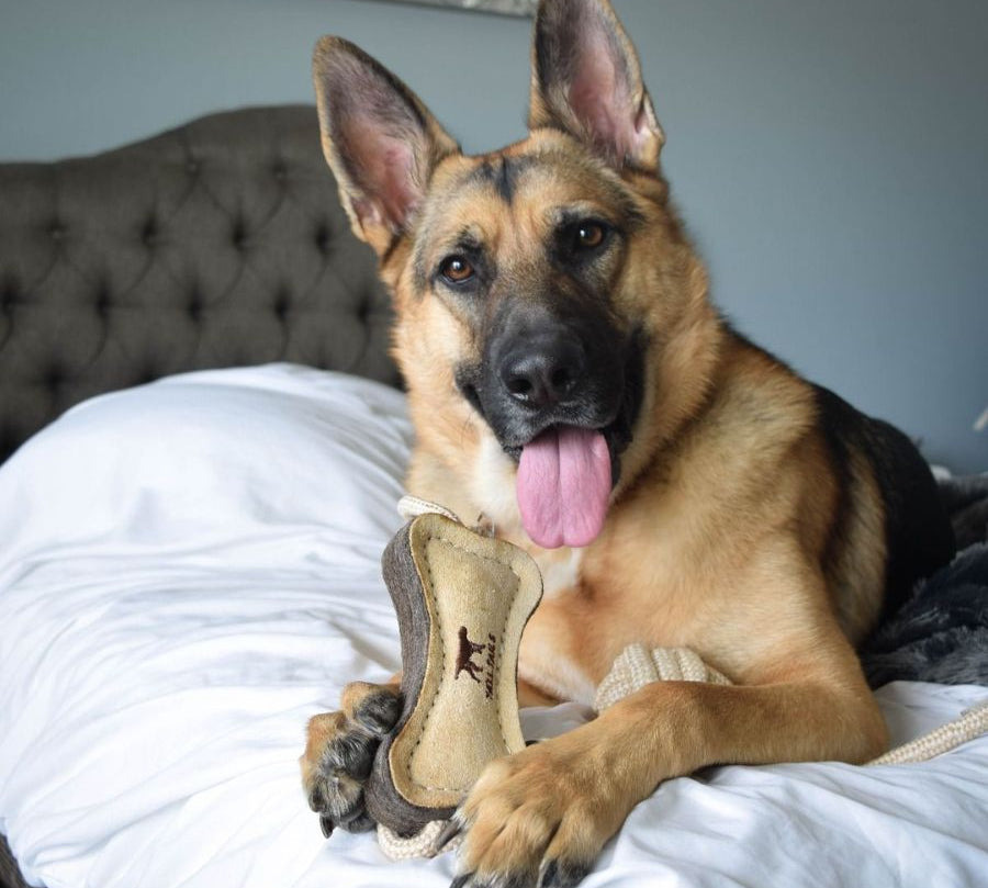 Juguete Hueso de Cuero Natural con Lana y Cuerda 🦴, ideal para juegos de tirar. Seguro, duradero y contribuye a la salud dental de perros pequeños.