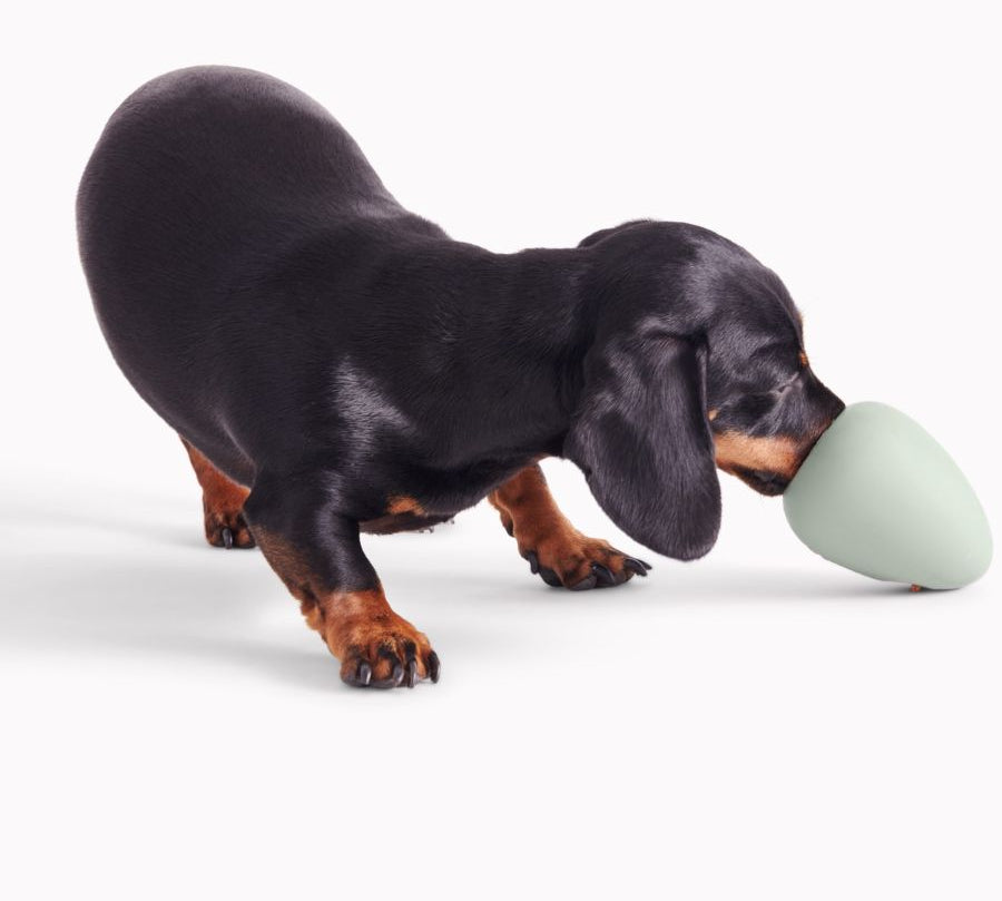 Juguete Rellenable Boredom Buster de Goma Natural 🐾, ideal para snacks o pasta. Estimula y entretiene a tu perro con su diseño giratorio y resistente.