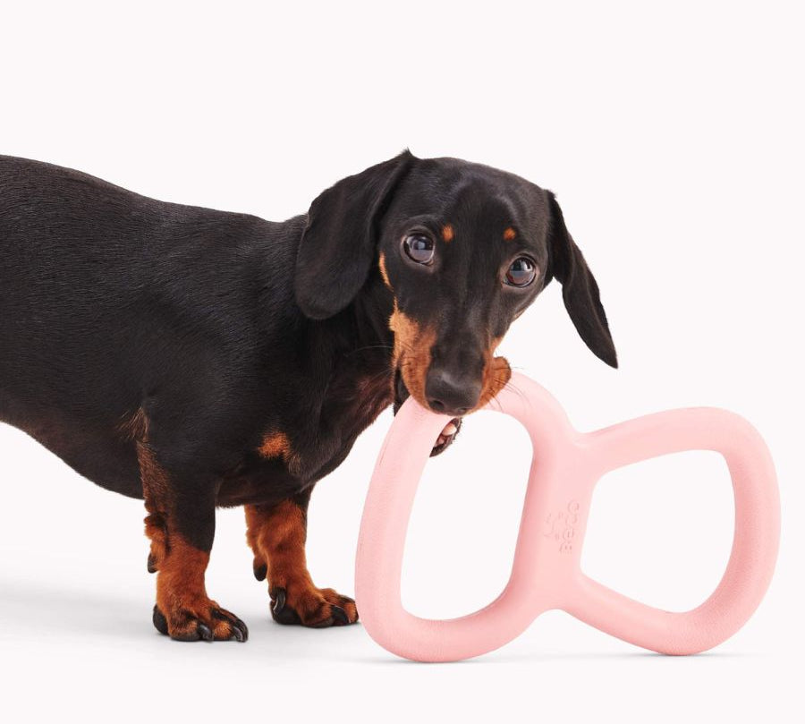 Juguete de Goma Natural para Tira y Afloja Beco 🐶, elástico y resistente, ideal para juegos de fuerza. Con asas texturizadas y aroma a vainilla.