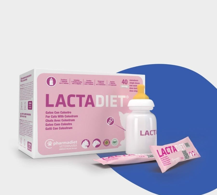 Pack Lactadiet Gato 40 Sobres y Biberon  proporciona nutrición completa con calostro, vitaminas y Omega 3, ideal para gatitos recién nacidos hasta el destete.