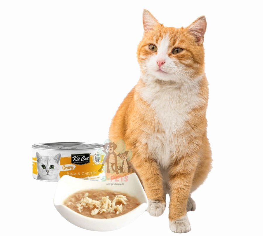 Kit Cat Gravy Series Atún & Pollo: Deliciosa comida húmeda para gatos. Enriquecida con nutrientes, promueve la hidratación y la salud.