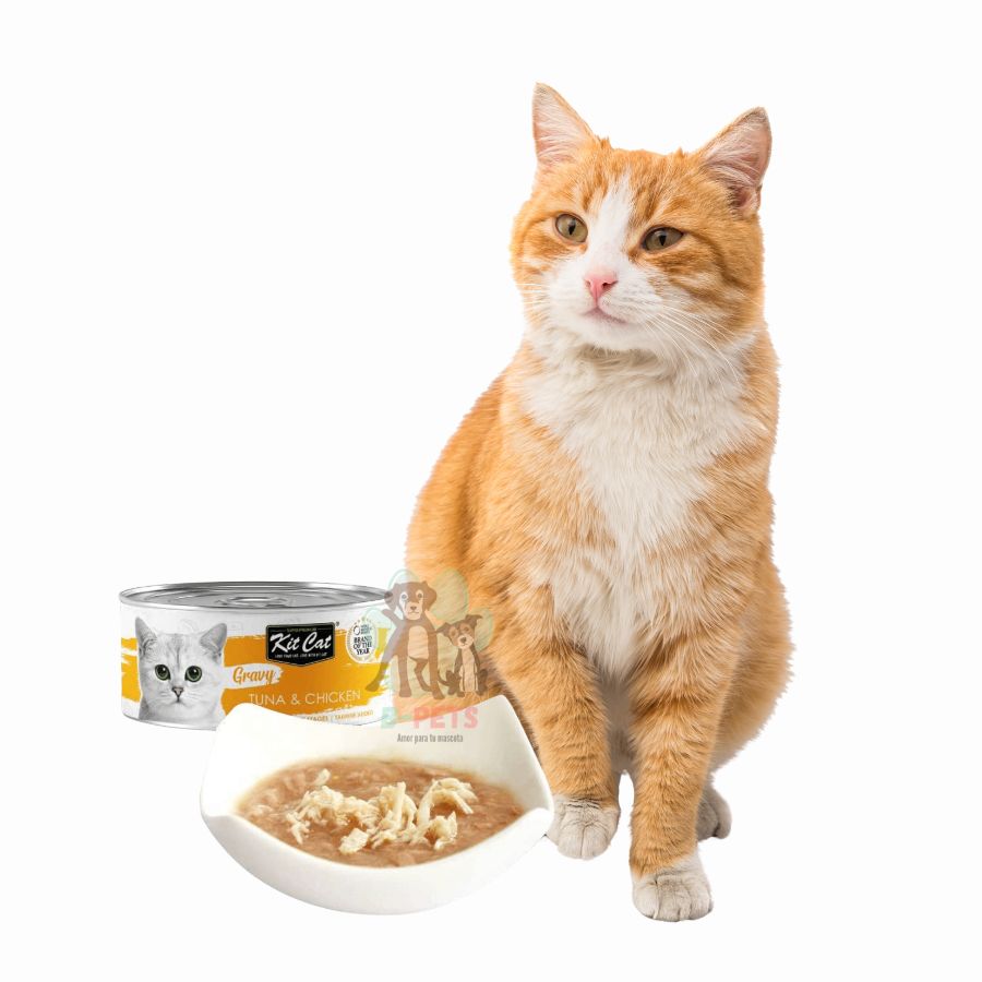 Kit Cat Gravy Series Atún & Pollo: Deliciosa comida húmeda para gatos. Enriquecida con nutrientes, promueve la hidratación y la salud.