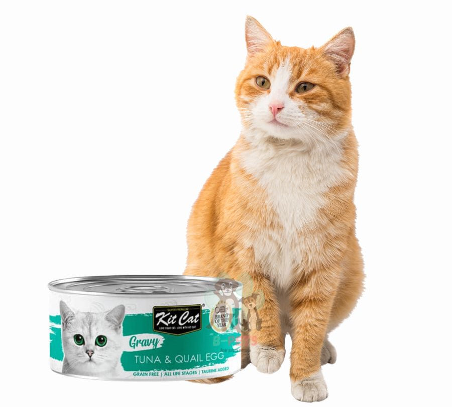 Kit Cat Gravy Series Atún & Huevo de Codorniz: Deliciosa comida húmeda para gatos. Enriquecida con nutrientes, promueve la hidratación y la salud.