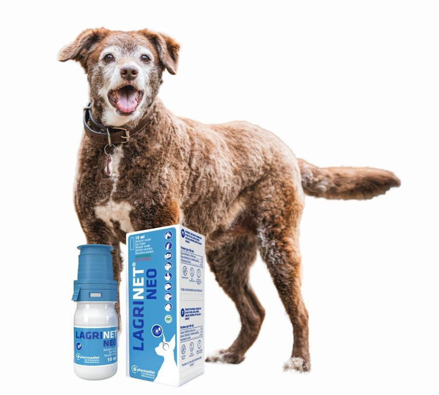 Lagrinet Neo 10 ml, solución ocular sin conservantes con Aloe Vera y Centella Asiática. Ideal para aliviar y proteger ojos secos e irritados.