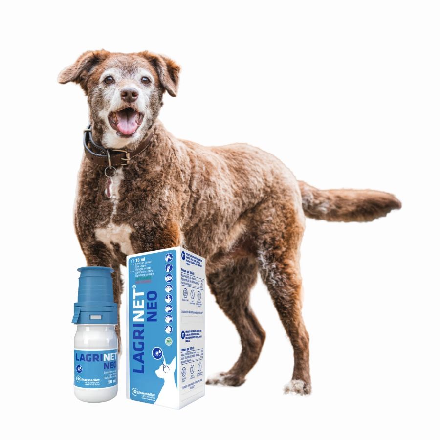 Lagrinet Neo 10 ml, solución ocular sin conservantes con Aloe Vera y Centella Asiática. Ideal para aliviar y proteger ojos secos e irritados.