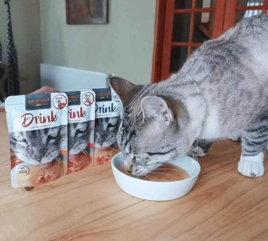 Leonardo Drink Salmón, una bebida deliciosa y saludable que promueve la hidratación y complementa la dieta seca de tu gato. ¡Sabor irresistible y nutrientes esenciales! 🐟💧 Perfecto para gatos que consumen alimentos secos.