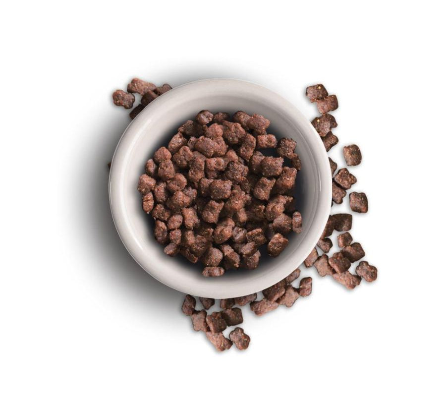 Leonardo Kitten 7.5kg 🐾🍼, alimento completo para gatitos y gatas lactantes. Enriquecido con carne fresca y chía para digestión y defensas fuertes.
