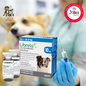 Librela para perros 10 a 20kg inyección mensual en consulta veterinaria para el control del dolor por osteoartritis y mejora de la movilidad.