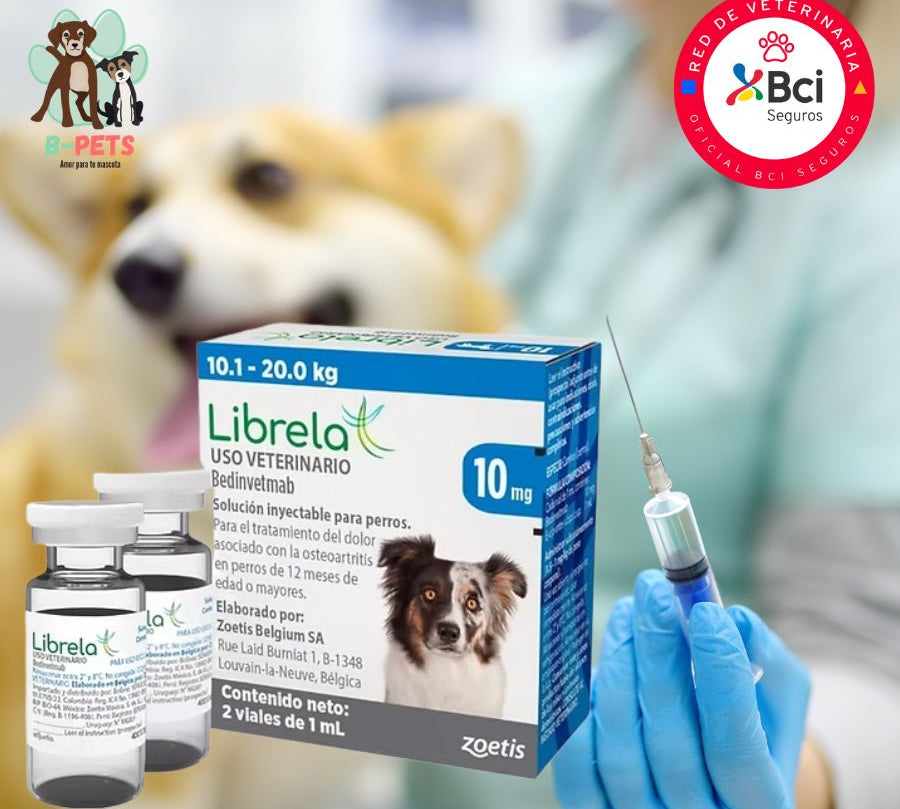 Librela para perros 10 a 20kg inyección mensual en consulta veterinaria para el control del dolor por osteoartritis y mejora de la movilidad.