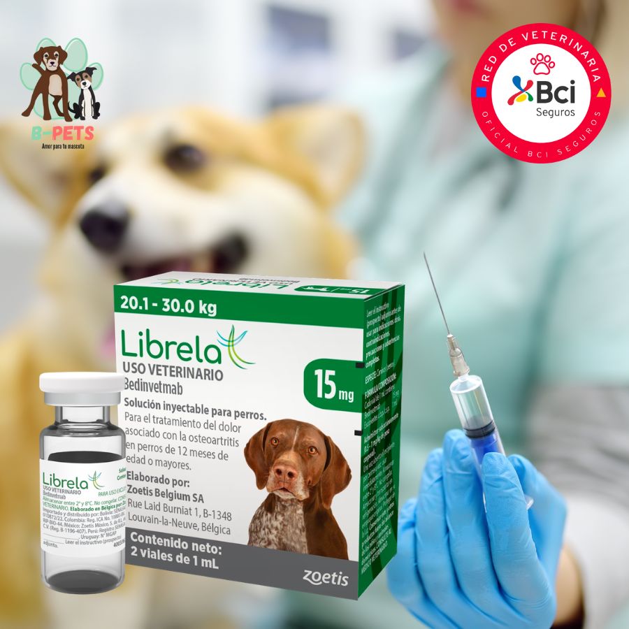 Librela para perros 20 a 30kg inyección mensual en consulta veterinaria para el control del dolor por osteoartritis y mejora de la movilidad.