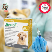Librela para perros 30 a 40kg inyección mensual en consulta veterinaria para el control del dolor por osteoartritis y mejora de la movilidad.