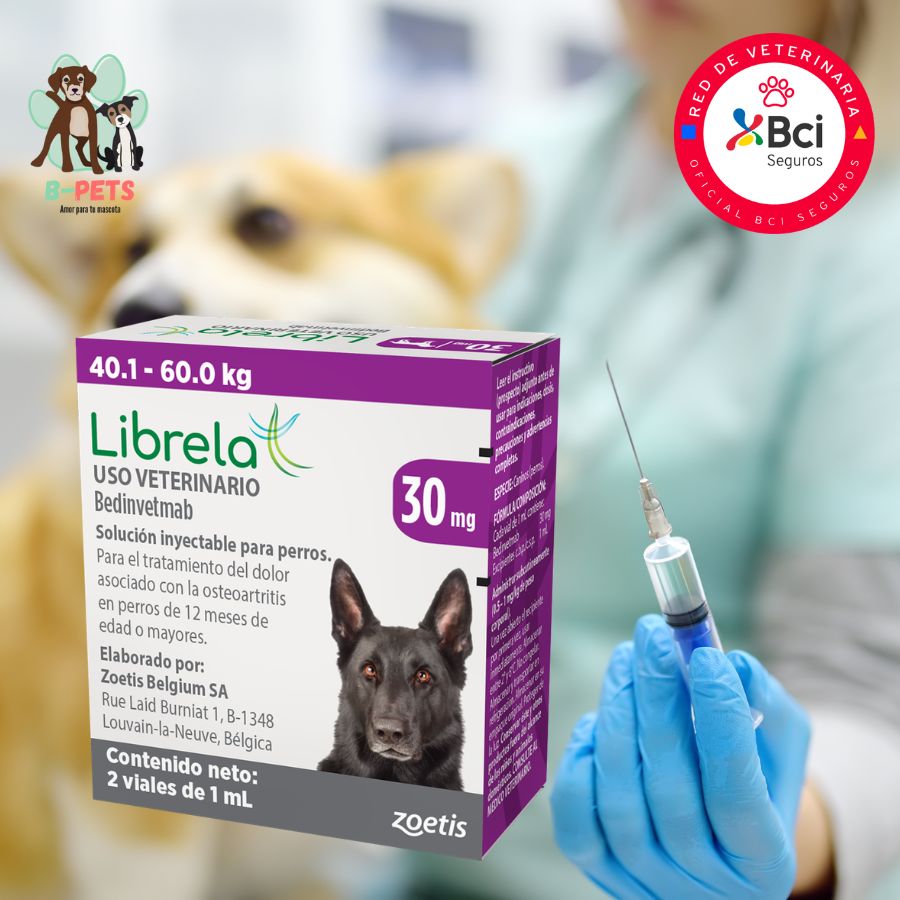 Librela para perros 40 a 60kg inyección mensual en consulta veterinaria para el control del dolor por osteoartritis y mejora de la movilidad.