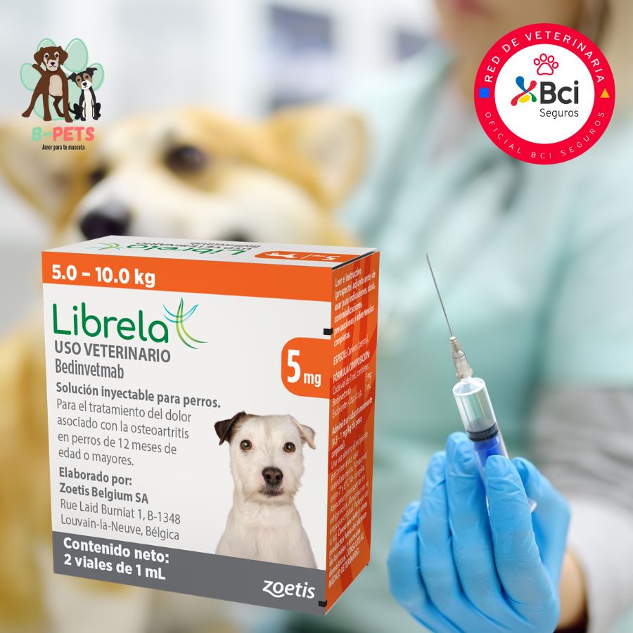 Librela para perros 5 a 10kg inyección mensual en consulta veterinaria para el control del dolor por osteoartritis y mejora de la movilidad.