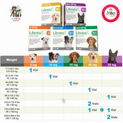 Librela para perros inyección mensual en consulta veterinaria para el control del dolor por osteoartritis y mejora de la movilidad.