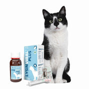 Lysinviral Plus 50 ml, gel inmunoestimulante con L-Lisina, Omega 3 y quercetina. Ideal para gatos con Herpesvirus o inmunidad comprometida.