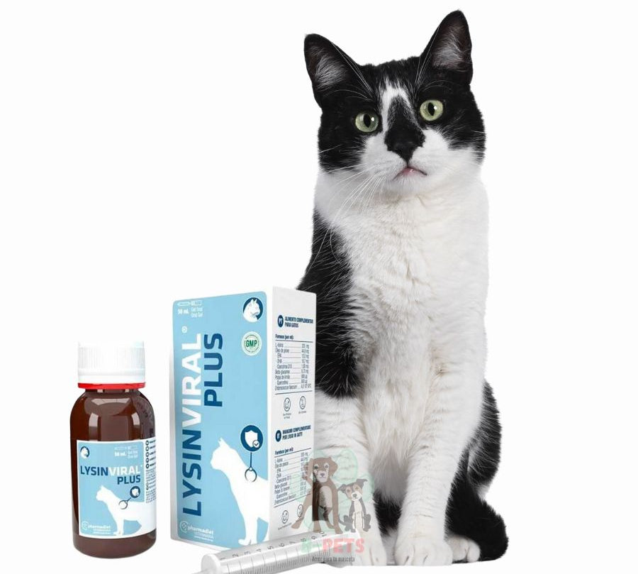 Lysinviral Plus 50 ml, gel inmunoestimulante con L-Lisina, Omega 3 y quercetina. Ideal para gatos con Herpesvirus o inmunidad comprometida.
