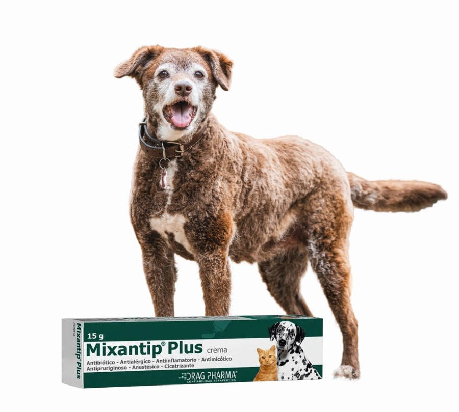 Mixantip Plus Crema 15g, antimicótico y cicatrizante, ideal para tratar infecciones, prurito y heridas en perros y gatos.
