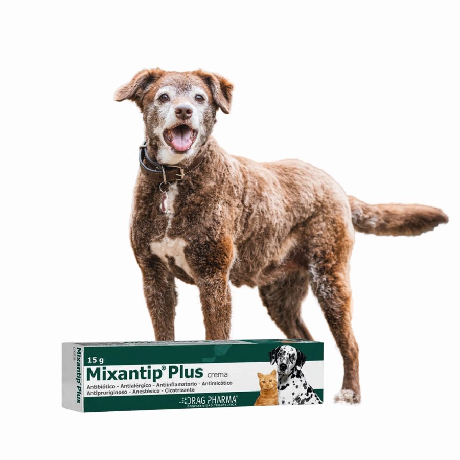 Mixantip Plus Crema 15g, antimicótico y cicatrizante, ideal para tratar infecciones, prurito y heridas en perros y gatos.