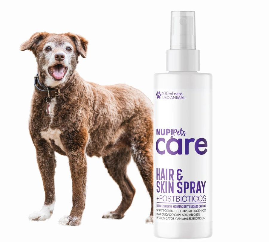 NUP! PETS Hair & Skin Spray fortalece el pelaje y la piel de tu mascota con postbióticos y extractos naturales. Hidratación, brillo y salud capilar diaria.