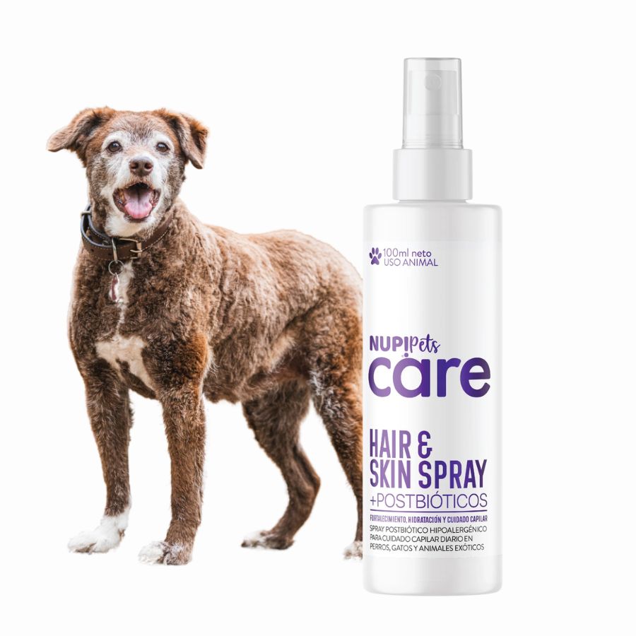 NUP! PETS Hair & Skin Spray fortalece el pelaje y la piel de tu mascota con postbióticos y extractos naturales. Hidratación, brillo y salud capilar diaria.