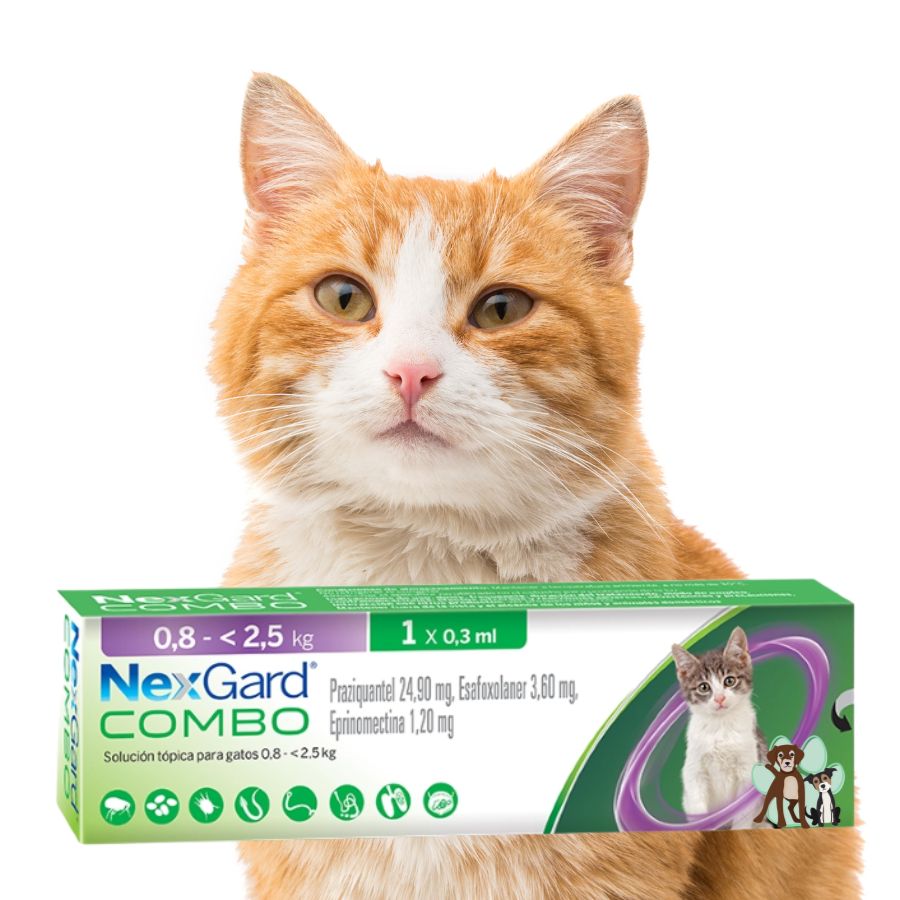 NexGard Combo Antiparasitario para Gatos de 0,8 a 2,5 kg elimina pulgas, garrapatas y gusanos con una aplicación tópica mensual segura y eficaz.