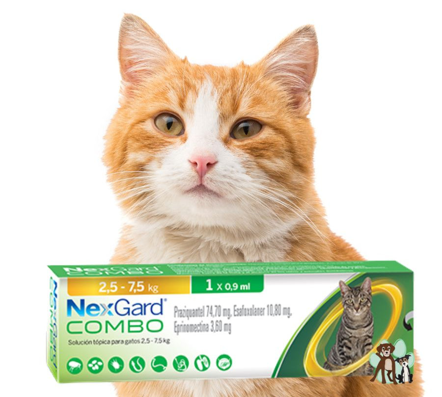 NexGard Combo Antiparasitario para Gatos de 2,5 a 7,5 kg elimina pulgas, garrapatas y gusanos con una aplicación tópica mensual segura y eficaz.