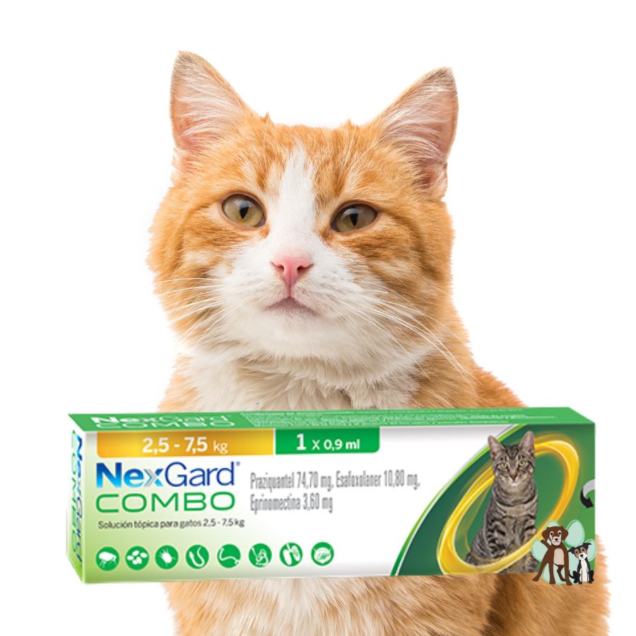 NexGard Combo Antiparasitario para Gatos de 2,5 a 7,5 kg elimina pulgas, garrapatas y gusanos con una aplicación tópica mensual segura y eficaz.