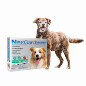 Nexgard 10 a 25 kg 3 comprimidos elimina pulgas, garrapatas y ácaros con acción rápida y sabor a carne. Protección eficaz por 30 días en un solo comprimido.