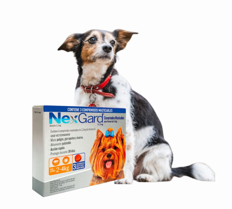 Nexgard 2 a 4 kg 3 comprimidos elimina pulgas, garrapatas y ácaros con acción rápida y sabor a carne. Protección eficaz por 30 días en un solo comprimido.