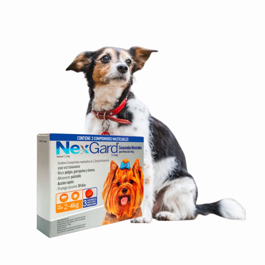 Nexgard 2 a 4 kg 3 comprimidos elimina pulgas, garrapatas y ácaros con acción rápida y sabor a carne. Protección eficaz por 30 días en un solo comprimido.